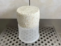 Gomolya sajt pirított szezámmaggal